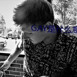 GAY是什么意思