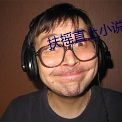 扶摇(yáo)直上(shàng)小说