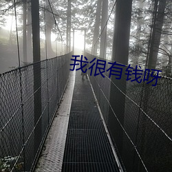 我很有钱呀 （横竖）