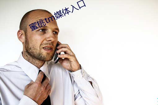 蜜桃tm媒體入口
