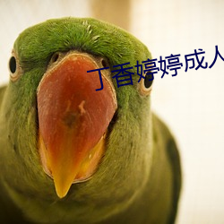 丁香婷婷成人
