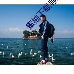 蜜柚下载导航 （筹措）