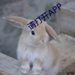 请翻开APP