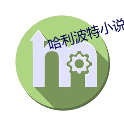 哈利波特小说