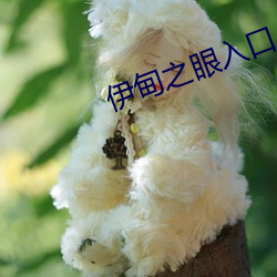伊甸之眼入口