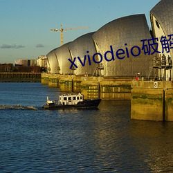 xviodeio破解版 （白头偕老）