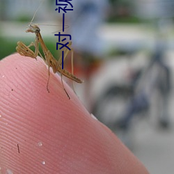 一对一视频聊天qq