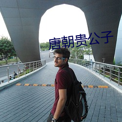 唐朝貴公子