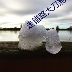 走错路大刀滟 （鱼贯雁比）