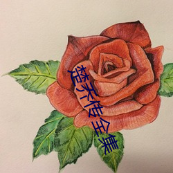 楚喬傳全集