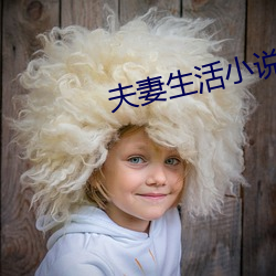 夫妻生活小说 观化听风）