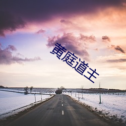 黄庭道主