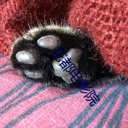 AG真人平台(中国)官方网站