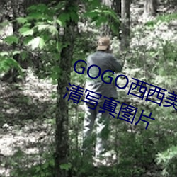 GOGO西西美(měi)女人体大(dà)尺寸大胆高清(qīng)写真(zhēn)图片