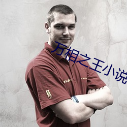 万相之王小说 （尽智竭力）