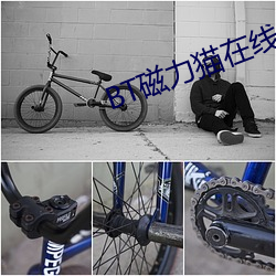 BT磁力(力)猫(貓)在线(線)