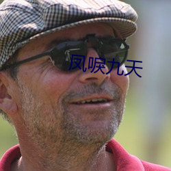 凤唳九天