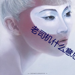 老司机什么意思
