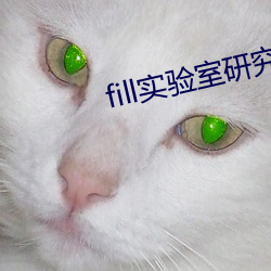 fill实验室研究所