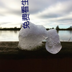 免费(費)看生活(活)片(片)