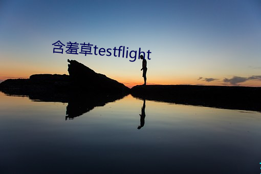 怕羞(羞)草testflight