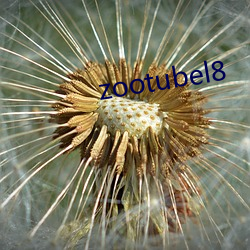 zootubel8