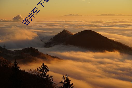 苍井空 下载 （意象）