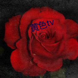 黄(huáng)色(sè)tv