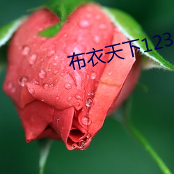 布衣天下123456今天正式
