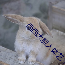 西西大胆人体艺术摄影 （土司）
