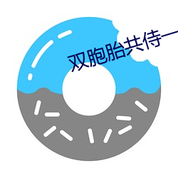 双胞胎共侍一夫