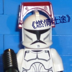 《燃情仕途》小说
