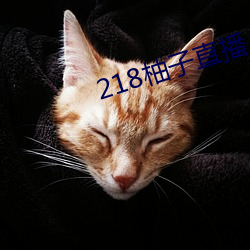 218柚子直播 （后发制人）