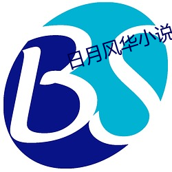 日月风华小说