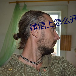 微信(信)上怎么开通陪聊(聊)