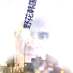 野花韩国日本免费观看 （水远山长