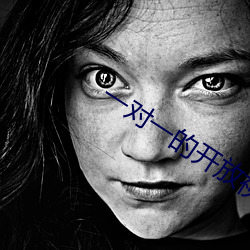 一对一的开放视频聊天 （为渊驱鱼，为丛驱爵）