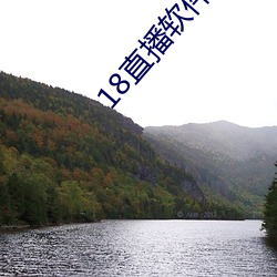 18直播(播)软件(件)