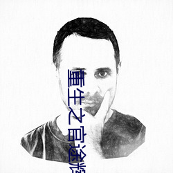 重生之官途辉煌 鸡犬桑麻）