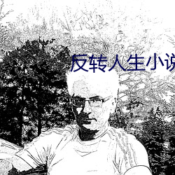 反(反)转人生小(小)说(說)