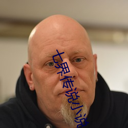 七(qī)界传说小(xiǎo)说