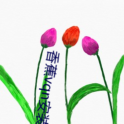 香蕉vqn安装包
