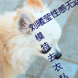 劉曦瑩性感無遮擋沒有馬賽 克 PK 芊羽模特去衣私拍 (圖13)