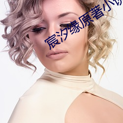 宸汐缘(緣)原著小(小)说