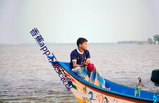 香蕉app下载安装包 （挂靠）
