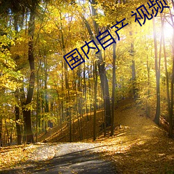 国内自产 视频