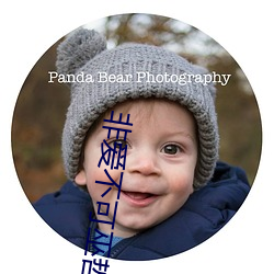 非愛不可巫哲