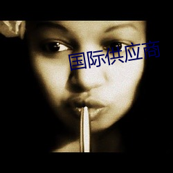 国(gu¨®)际(jì)供(g¨ng)应商(shāng)