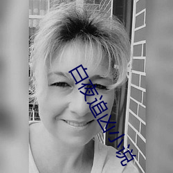 白夜追凶小说