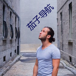 茄子导航